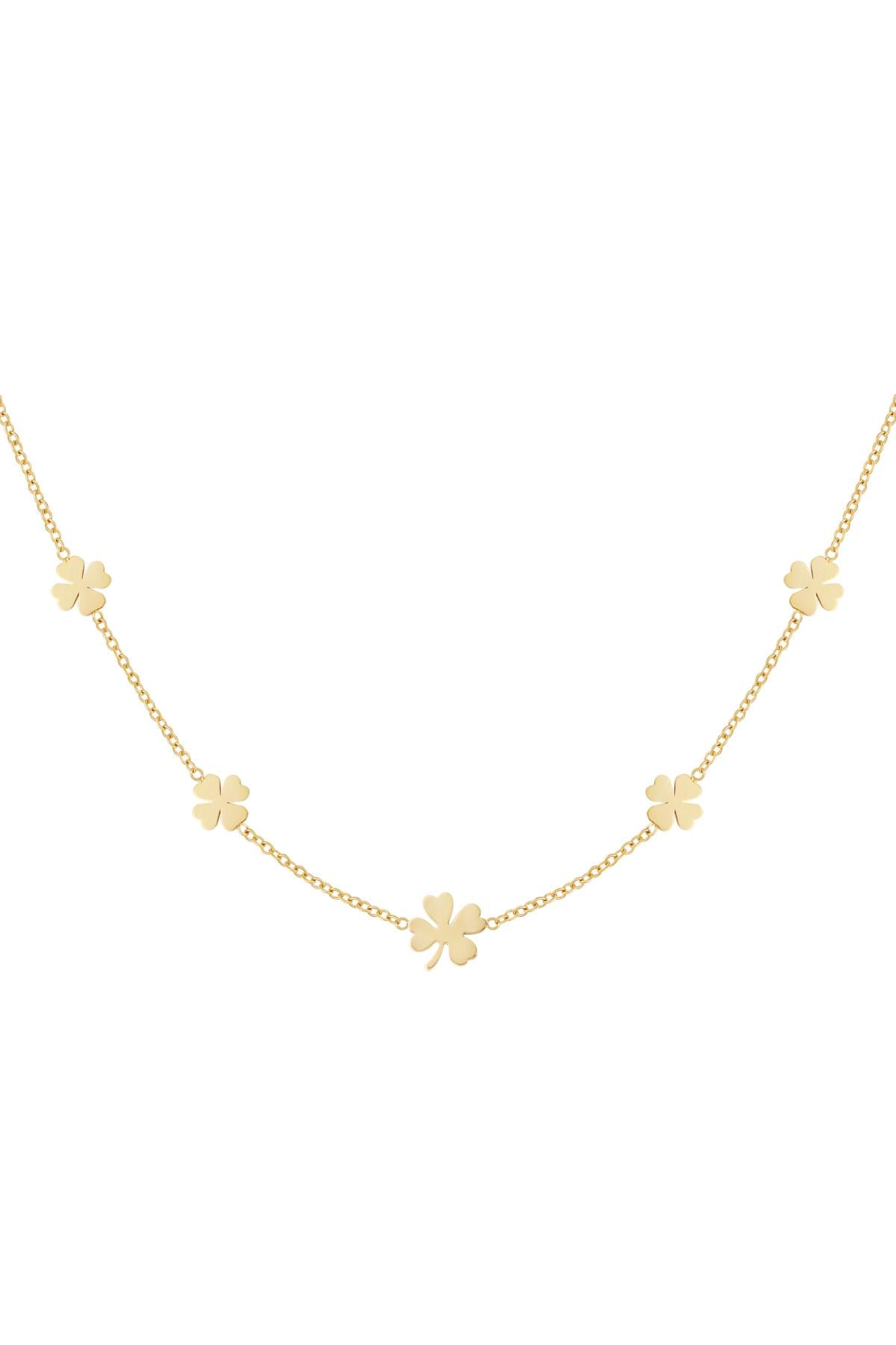 Ketting klaver stainless