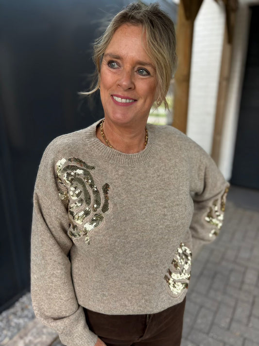 Trui gebreid met pailetten taupe