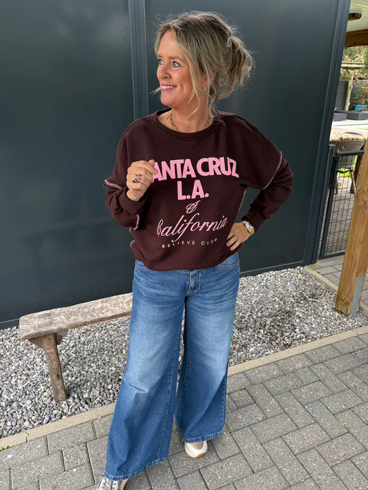 Sweater california bruin