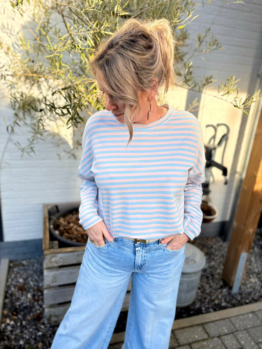 longsleeve pastel roze ilchtblauw