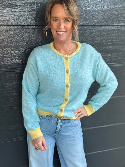 vestje blauw gele bies